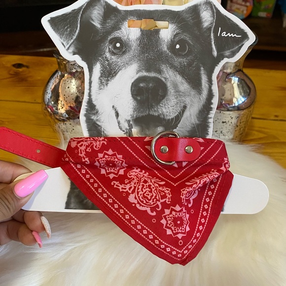 I Am Jewerly Dog Collar Bandana Print - Picture 2 of 5